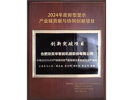 2024 New Display Innovation Breakthrough Project