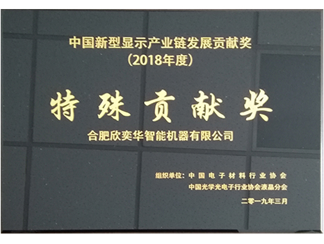 2018 China New Display Industry Chain Special Contribution Award