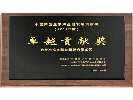 China New Display Industry Chain Outstanding Contribution Award